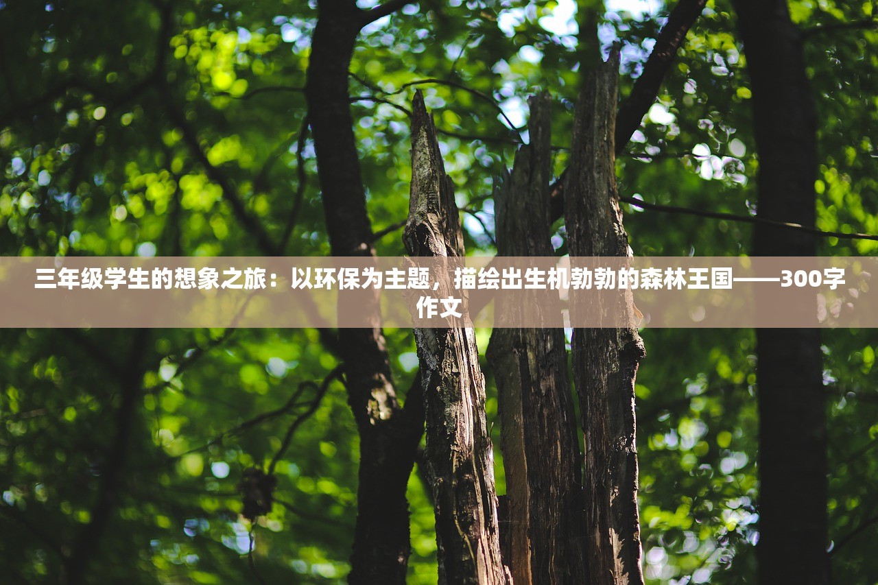澳门天天免费精准大全|实地研究解释落实_HT.2.530
