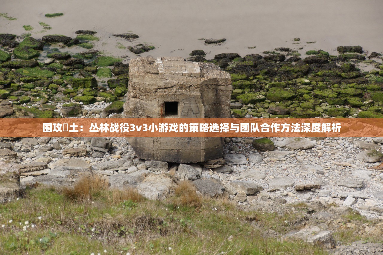 (阿尔瓦努涅斯)阿涅瓦测试服,深度探索与常见问题解答 (阿尔瓦努涅斯)阿涅瓦测试服,深度探索与常见问题解答