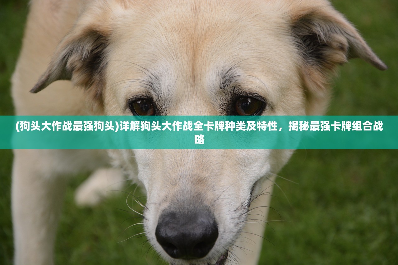 江左梅郎精准资料大全|经典理论的有效解读与应用_和谐版.4.707