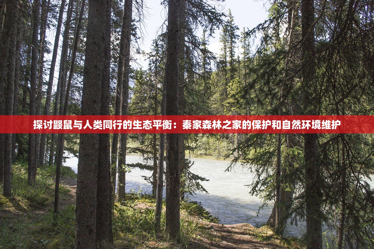 新澳门今晚开特马开|数据资料解释落实_VIP0.71