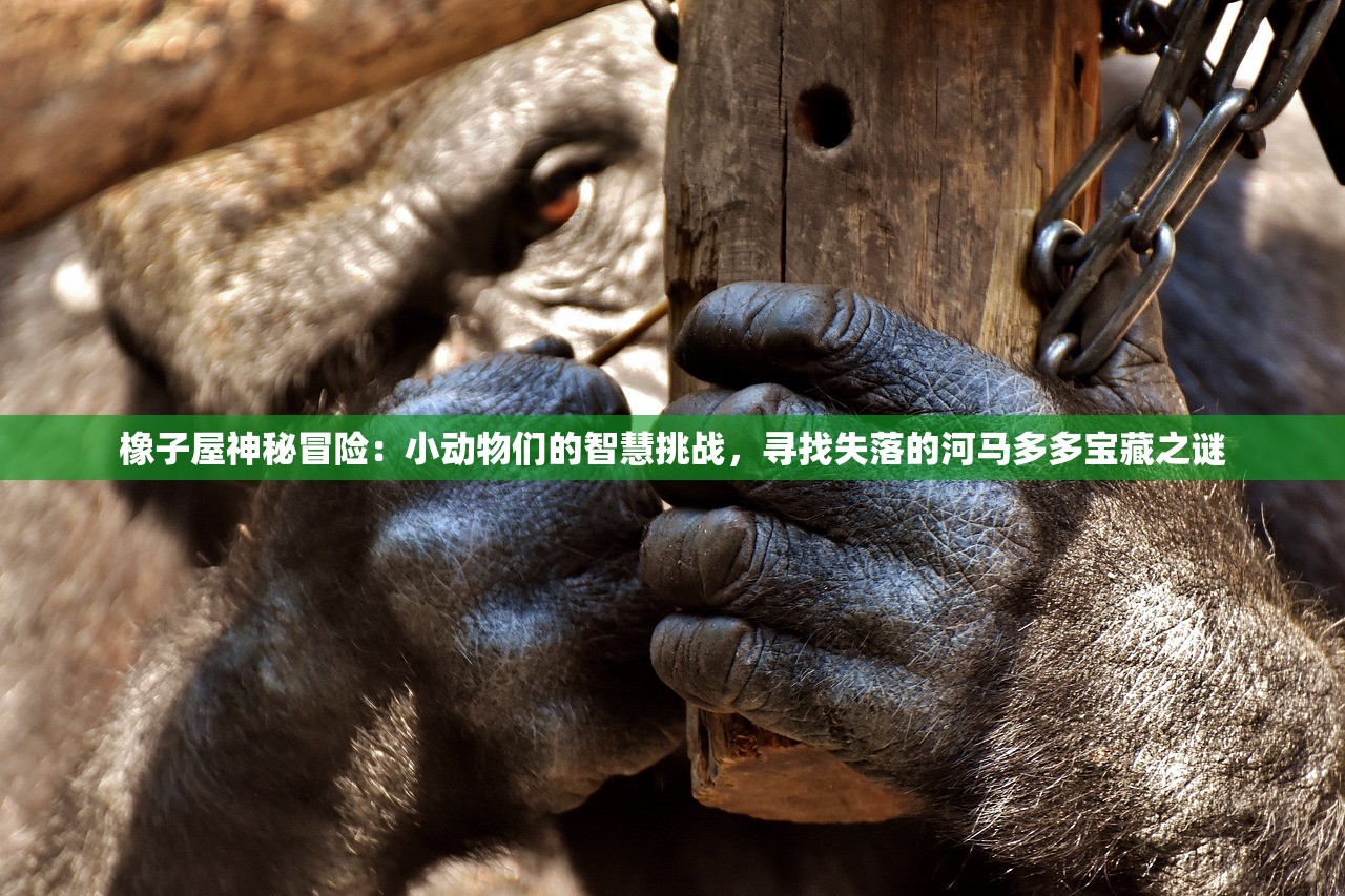 新澳门彩历史开奖记录走势图|科学依据解释落实_DX.3.829