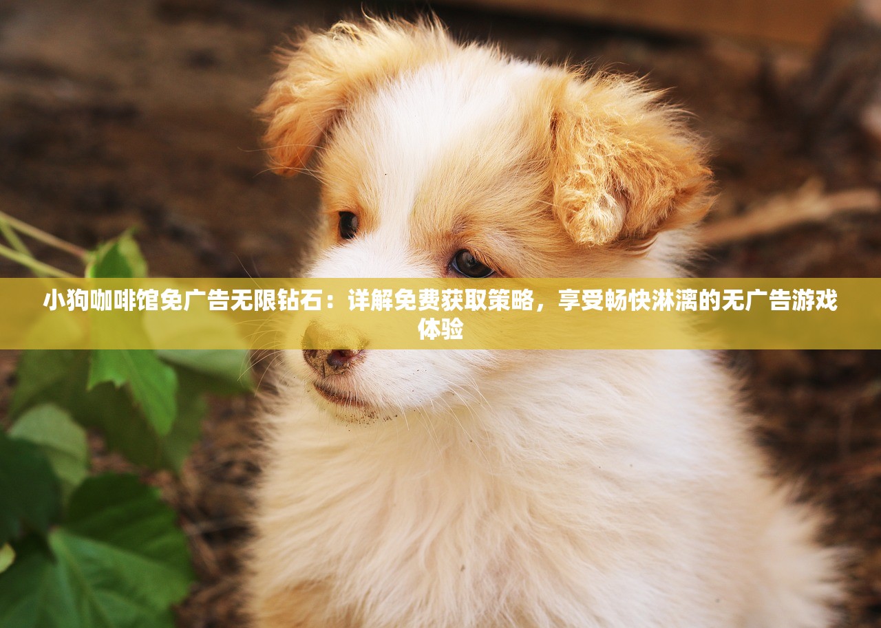 (长空暗影能通关吗)长空暗影，游戏无法启动问题解析与解决方案