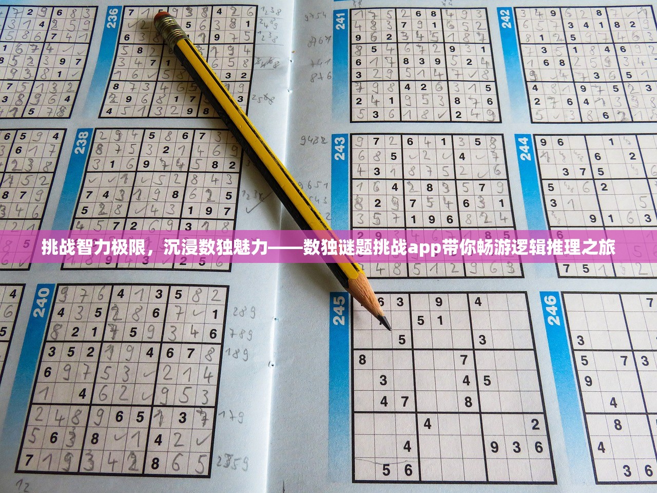 新澳门六开彩开奖网站|探索澳门隐藏美食与文化_适应款.7.129