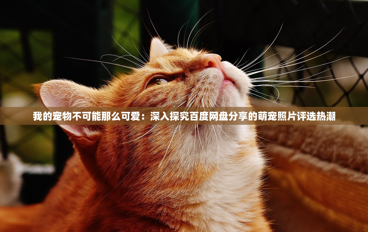 新澳精准资料免费提供|标准化流程评估_日常版.0.258 新澳精准资料免费提供|标准化流程评估_日常版.0.258