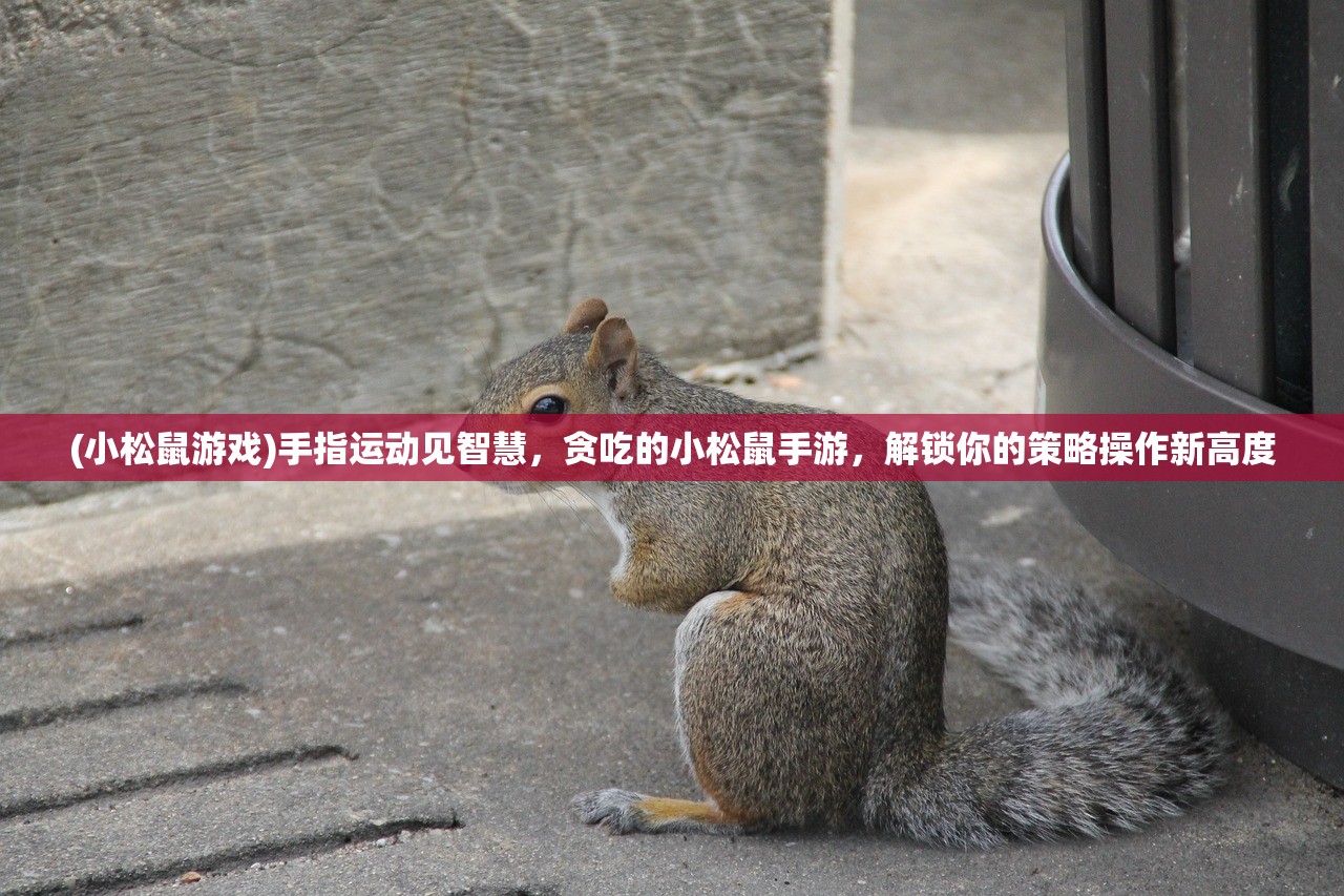 2024年正版资料免费大全优势|深度解答解释落实_SR.6.647