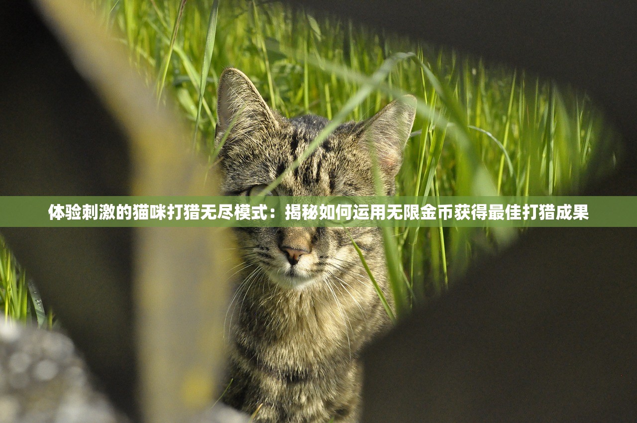 (很多勇者攻略)很多勇者（测试服），初探勇者世界，体验全新冒险