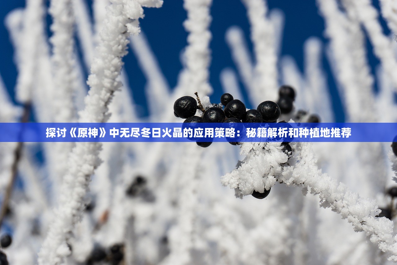 (经典角色扮演单机游戏有哪些)经典角色扮演单机游戏,探索与解析 (经典角色扮演单机游戏有哪些)经典角色扮演单机游戏,探索与解析