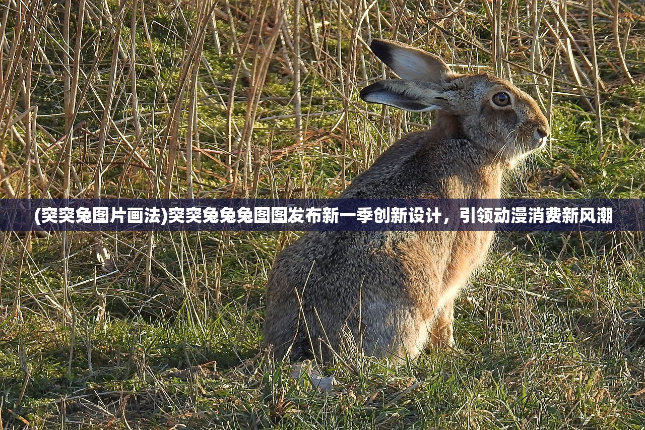 新奥彩出号综合走势图特马分部|精准解答解释落实_组件集.4.813