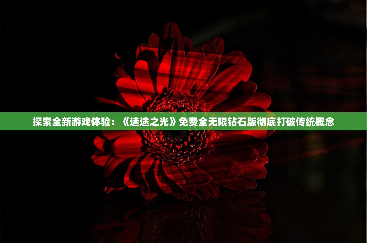 49tkcom49图库资料大全|多方面的支持计划与实施_修改型.8.881