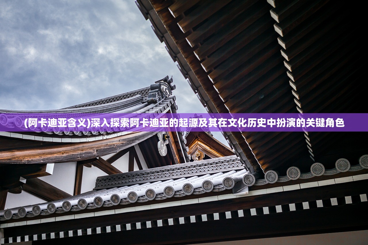 澳门天天开好彩大全65期|深入理解各种问题的解决方案_网红版Meituan.7.319