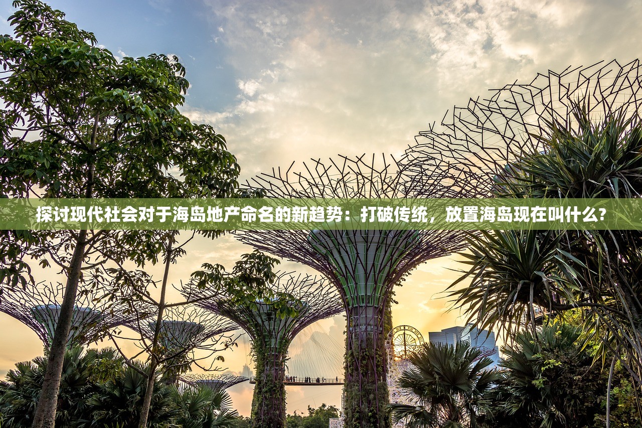 澳门一肖一码一特一中挂|系统分析解释落实_优惠制.1.413
