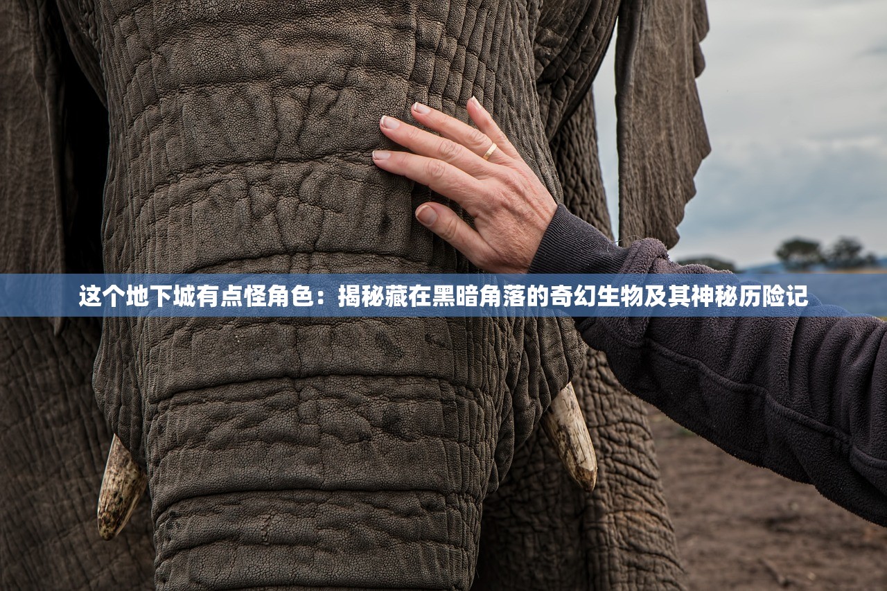 (蓦然回首浮生若梦什么意思)关于浮生若梦的深度解读与探讨