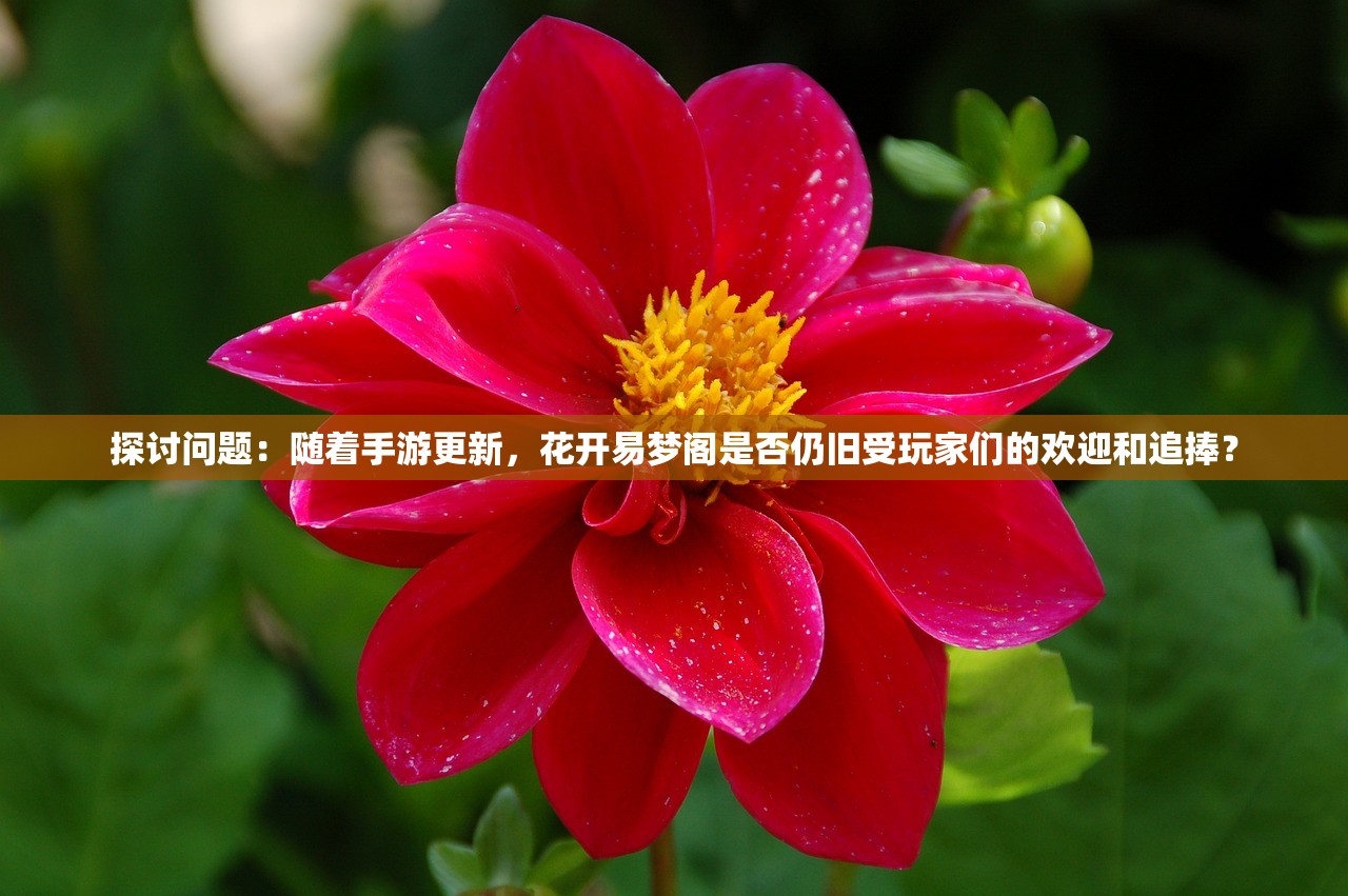 澳门三肖三码财神爷资料|探讨国产化对解答的影响_研究款.1.125