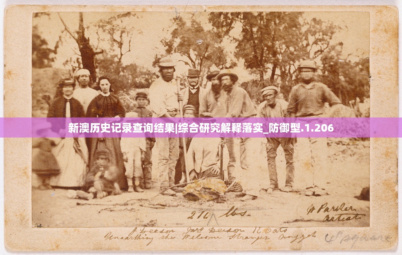 新澳历史记录查询结果|综合研究解释落实_防御型.1.206 新澳历史记录查询结果|综合研究解释落实_防御型.1.206