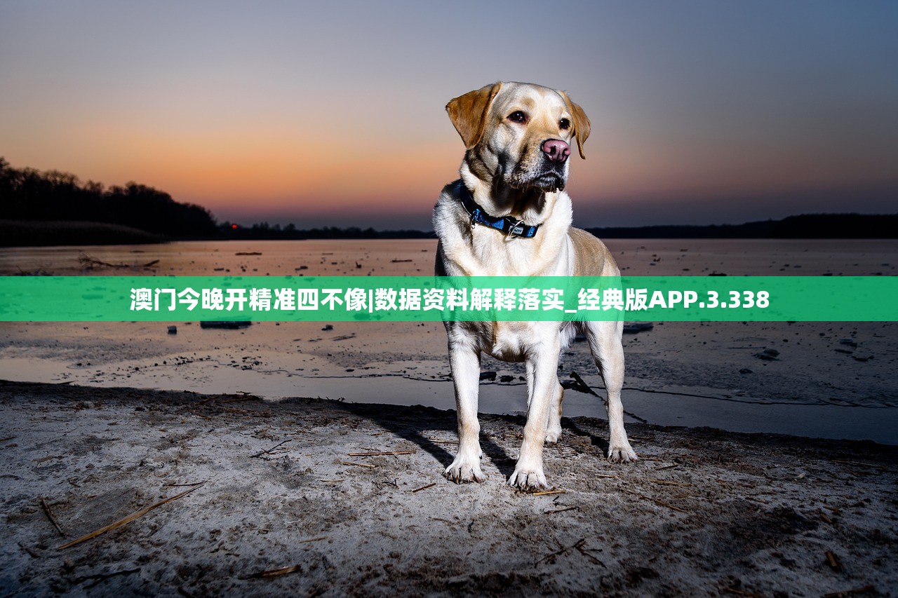 白小姐今晚特马开奖结果|最新热门解答落实_未来版IP.4.669