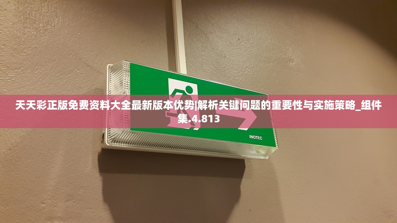 天天彩正版免费资料大全最新版本优势|解析关键问题的重要性与实施策略_组件集.4.813