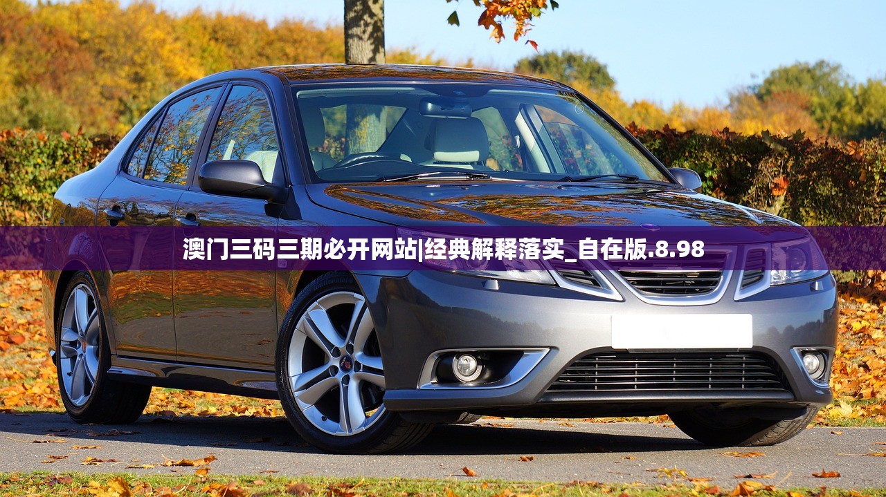 澳门三码三期必开网站|经典解释落实_自在版.8.98