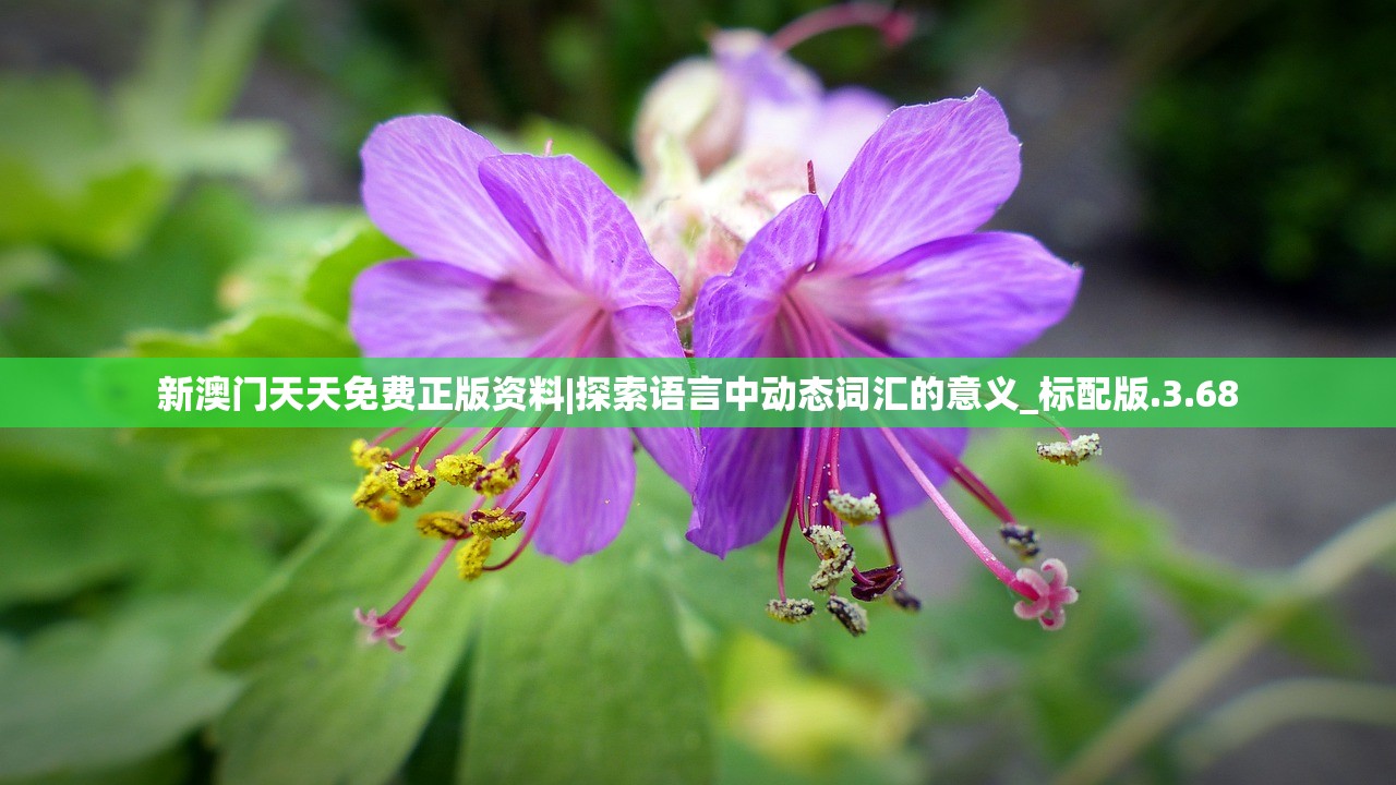 (横扫天下之万年强者攻略)横扫天下之万年强者H5激活码,游戏新纪元的大门开启 (横扫天下之万年强者攻略)横扫天下之万年强者H5激活码,游戏新纪元的大门开启