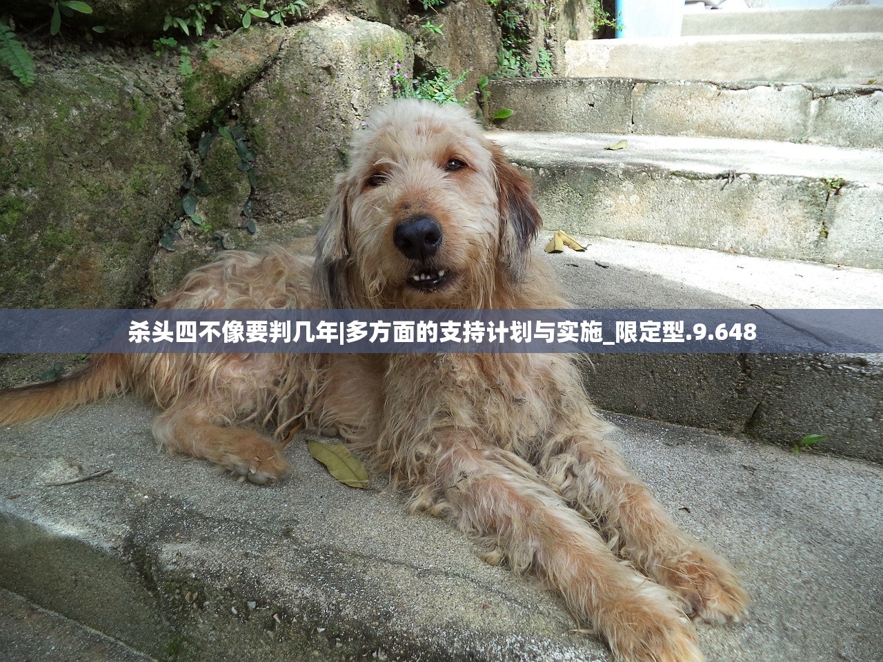 (深圳立人电脑制品有限公司)深圳立人电脑,科技前沿的创新先锋 (深圳立人电脑制品有限公司)深圳立人电脑,科技前沿的创新先锋