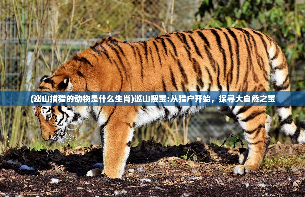 (大宋群英传单机下载)大宋群侠传手机版，江湖风云再起的武侠传奇