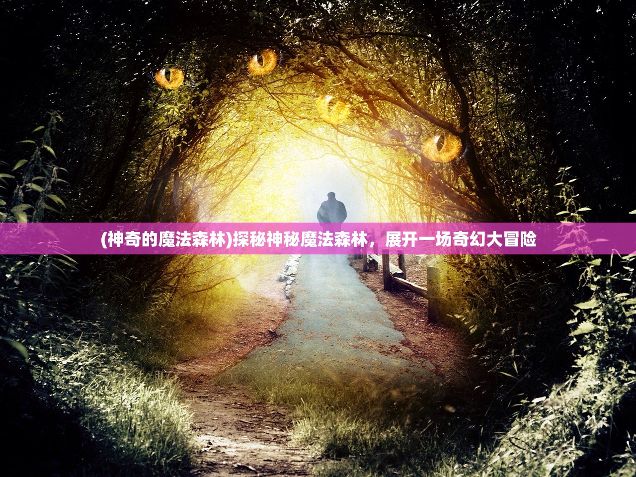 (梦幻神界4399手游)梦幻神界，奇幻世界的探索与奥秘揭示