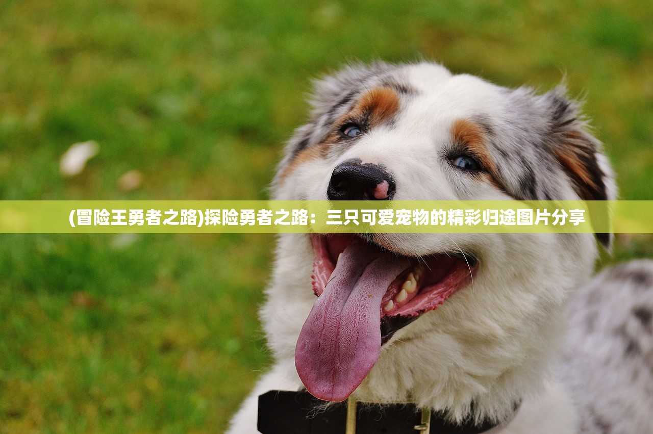 不如一起爽翻血魔攻略，游戏攻略与常见问题解答