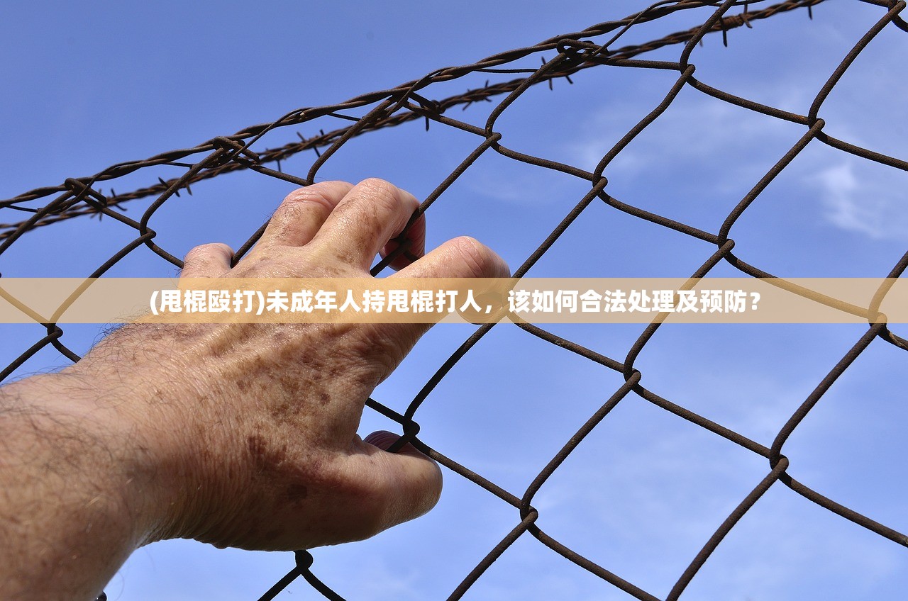 (了不起的飞剑丹方大全)了不起的飞剑之最新丹方揭秘