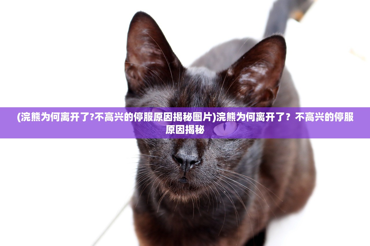(了不起的飞剑丹方大全)了不起的飞剑之最新丹方揭秘