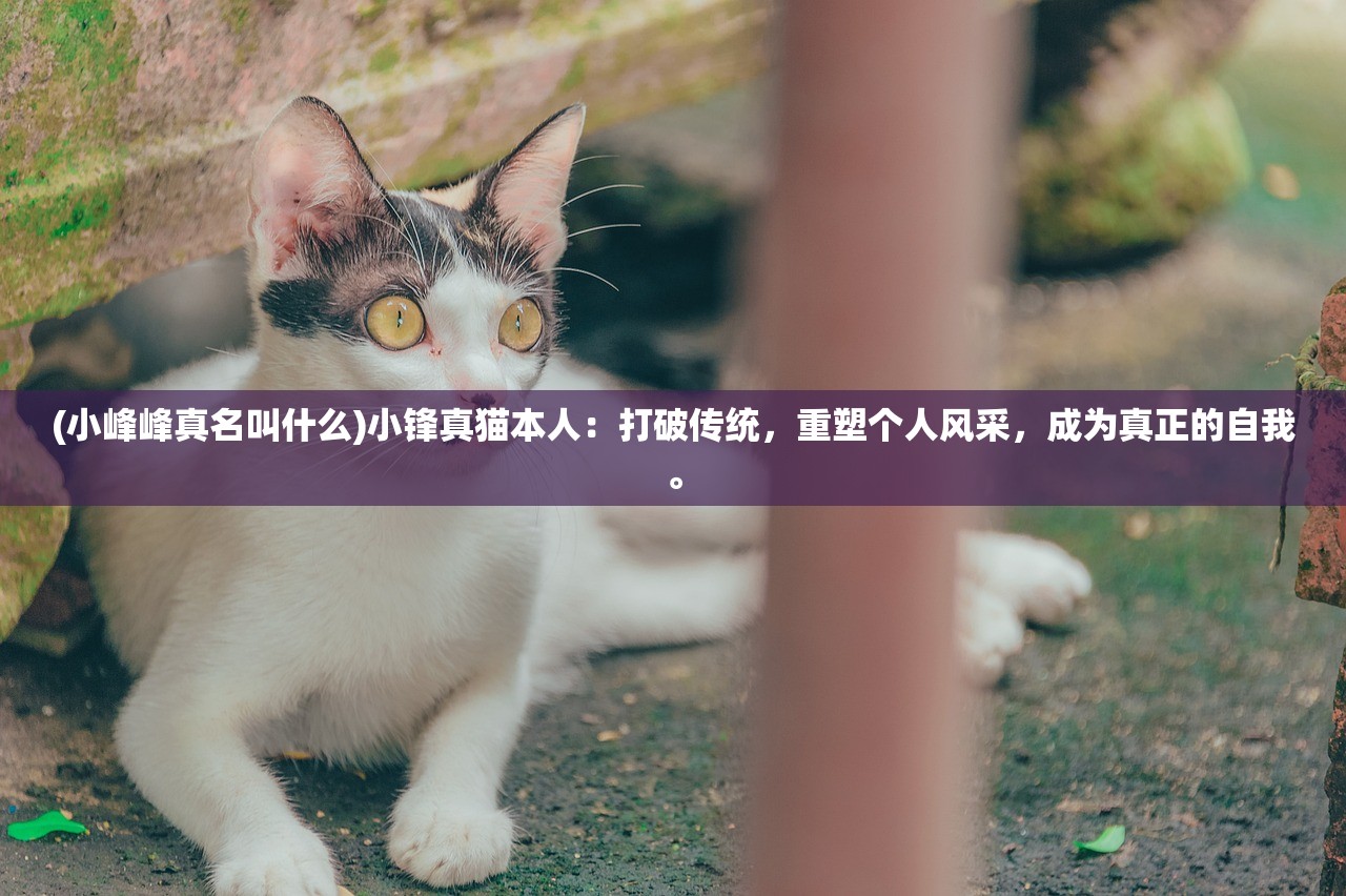 (战之刃幸存者0.1折IOS)战之刃幸存者0.1折,游戏新纪元的前瞻与挑战 (战之刃幸存者0.1折IOS)战之刃幸存者0.1折,游戏新纪元的前瞻与挑战