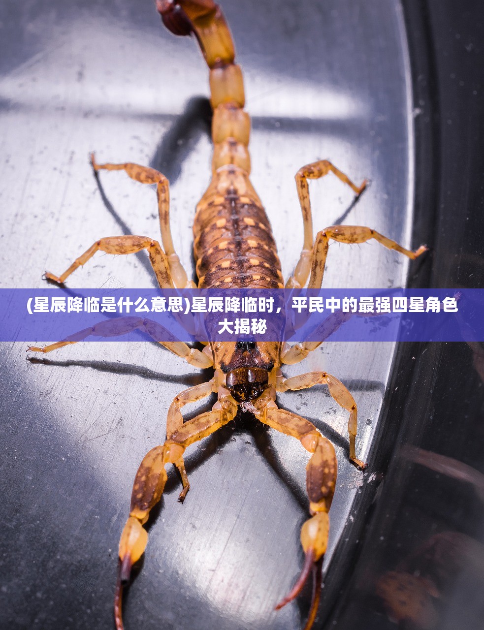 (三国诛将录为什么下架了呢)三国诛将录下架原因深度解析