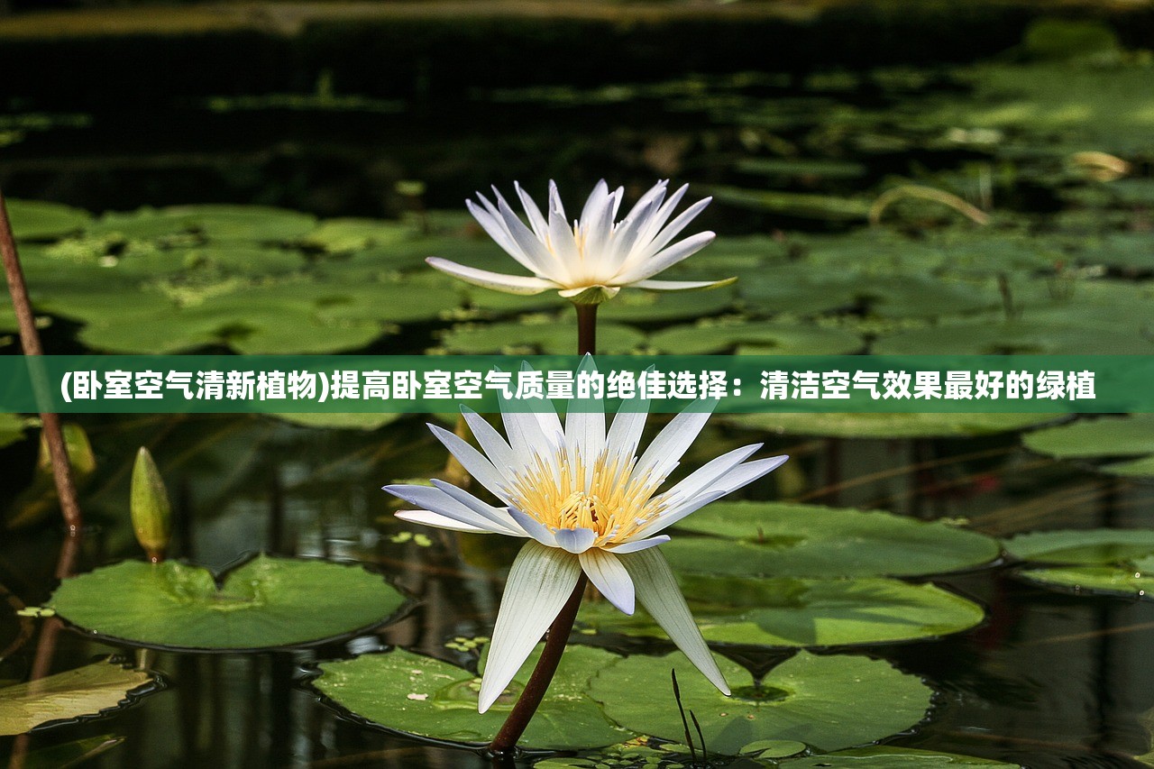 (无尽远征为什么下架了呢)无尽远征为何下架，深度探究原因与多元分析