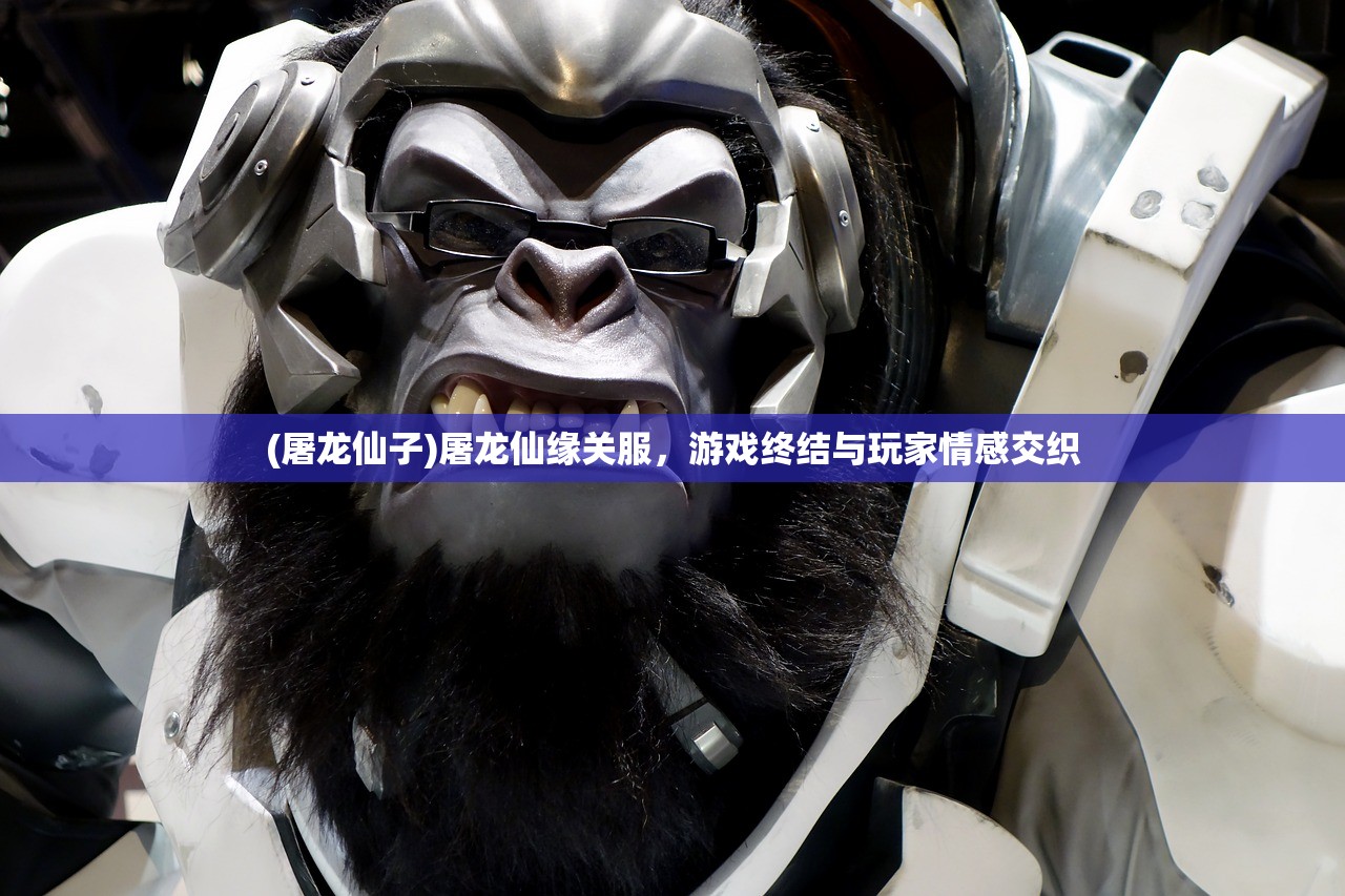 (逍遥魔兽335全职业指南攻略)逍遥魔兽，探索奇幻世界的无限魅力