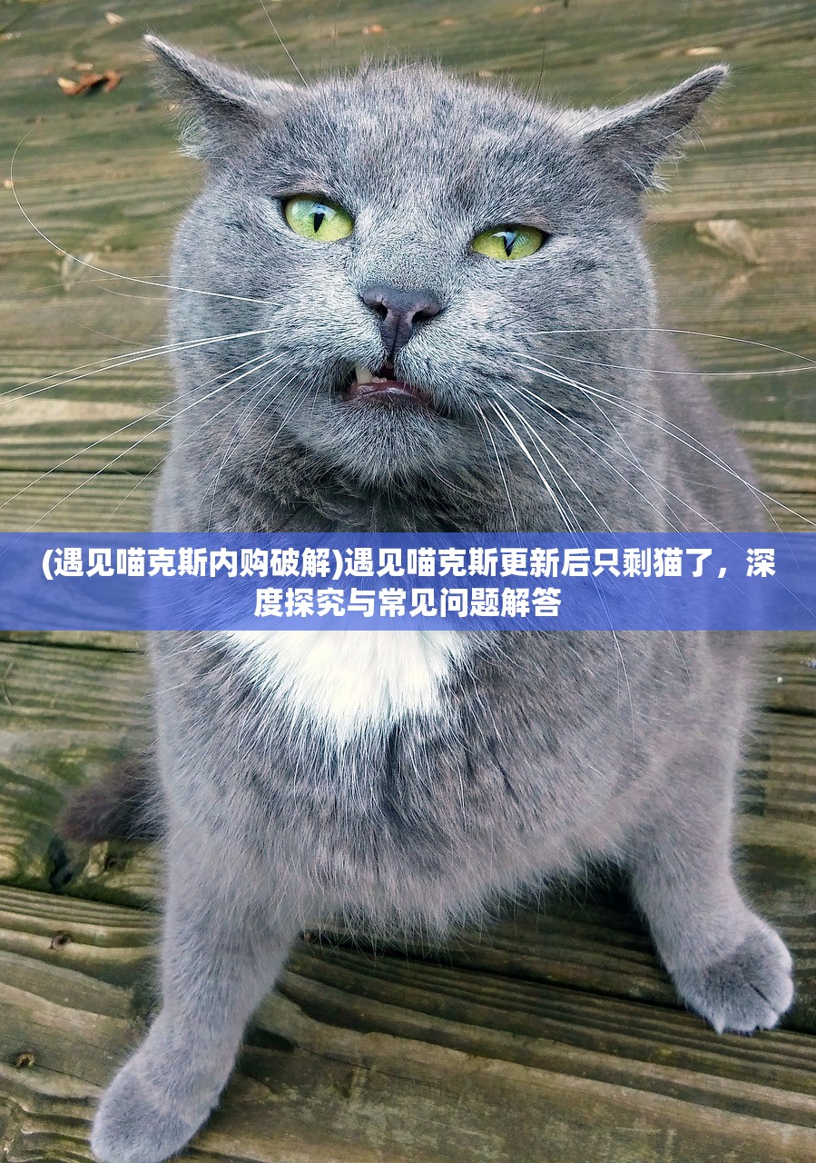 (滑板的超级英雄)滑板英雄MOD菜单版本，深度解析与常见问题解答