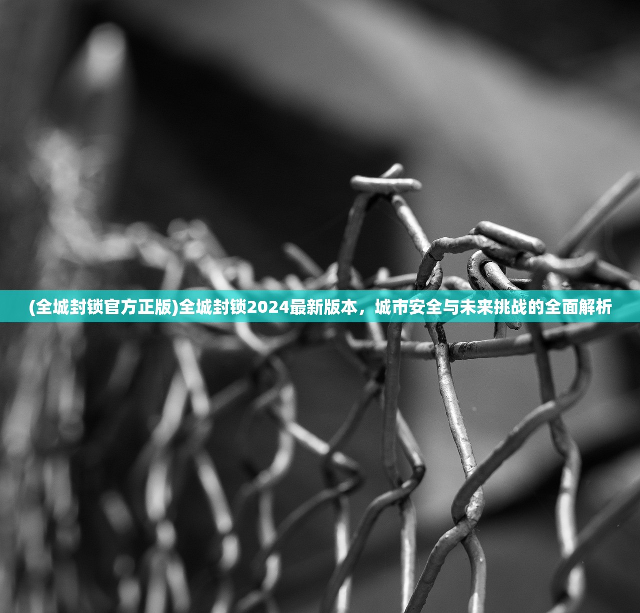 (全城封锁官方正版)全城封锁2024最新版本，城市安全与未来挑战的全面解析