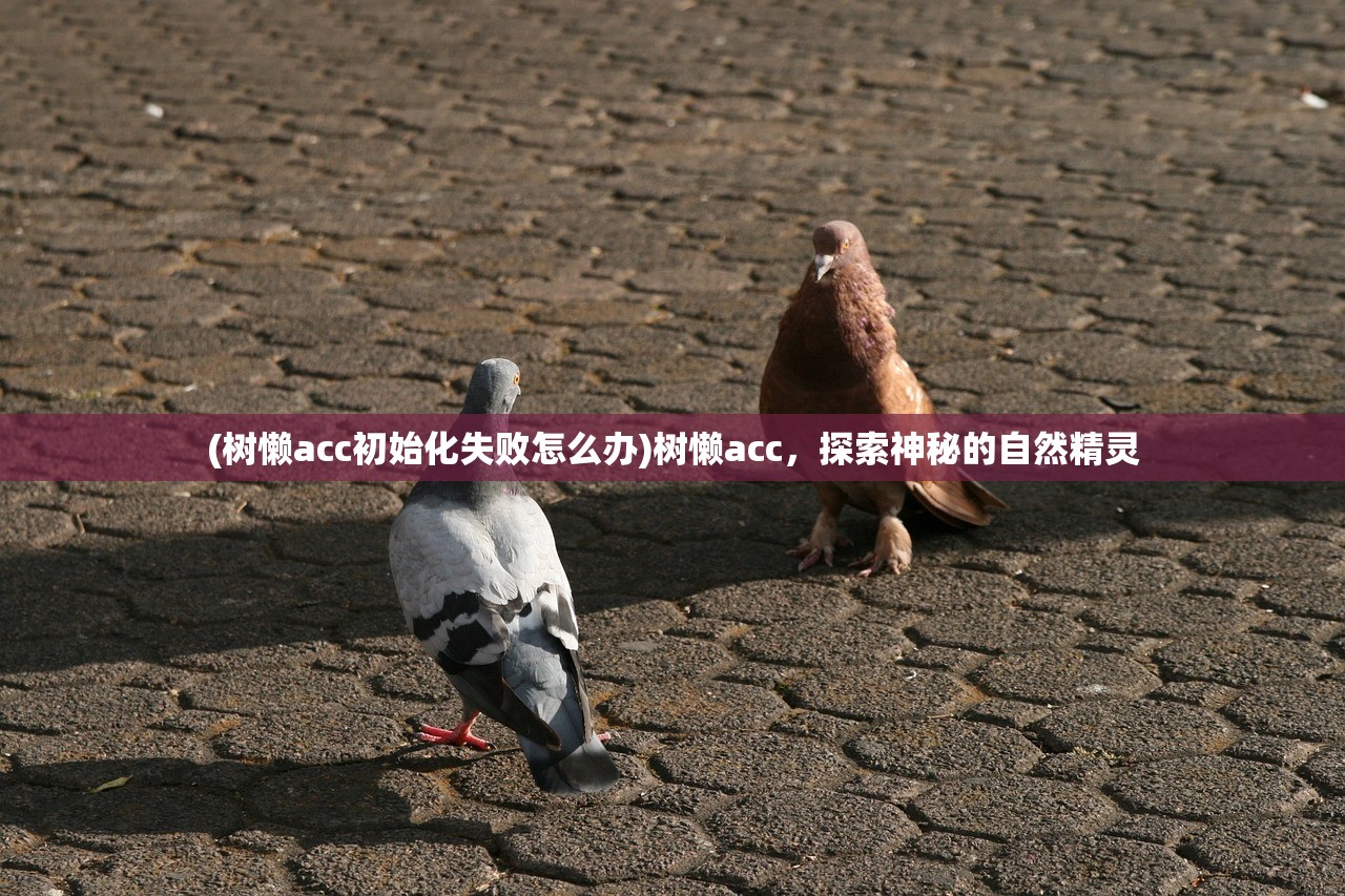 (梦想城镇怎么更新不了)梦想城镇更新指南，如何轻松应对游戏版本更迭