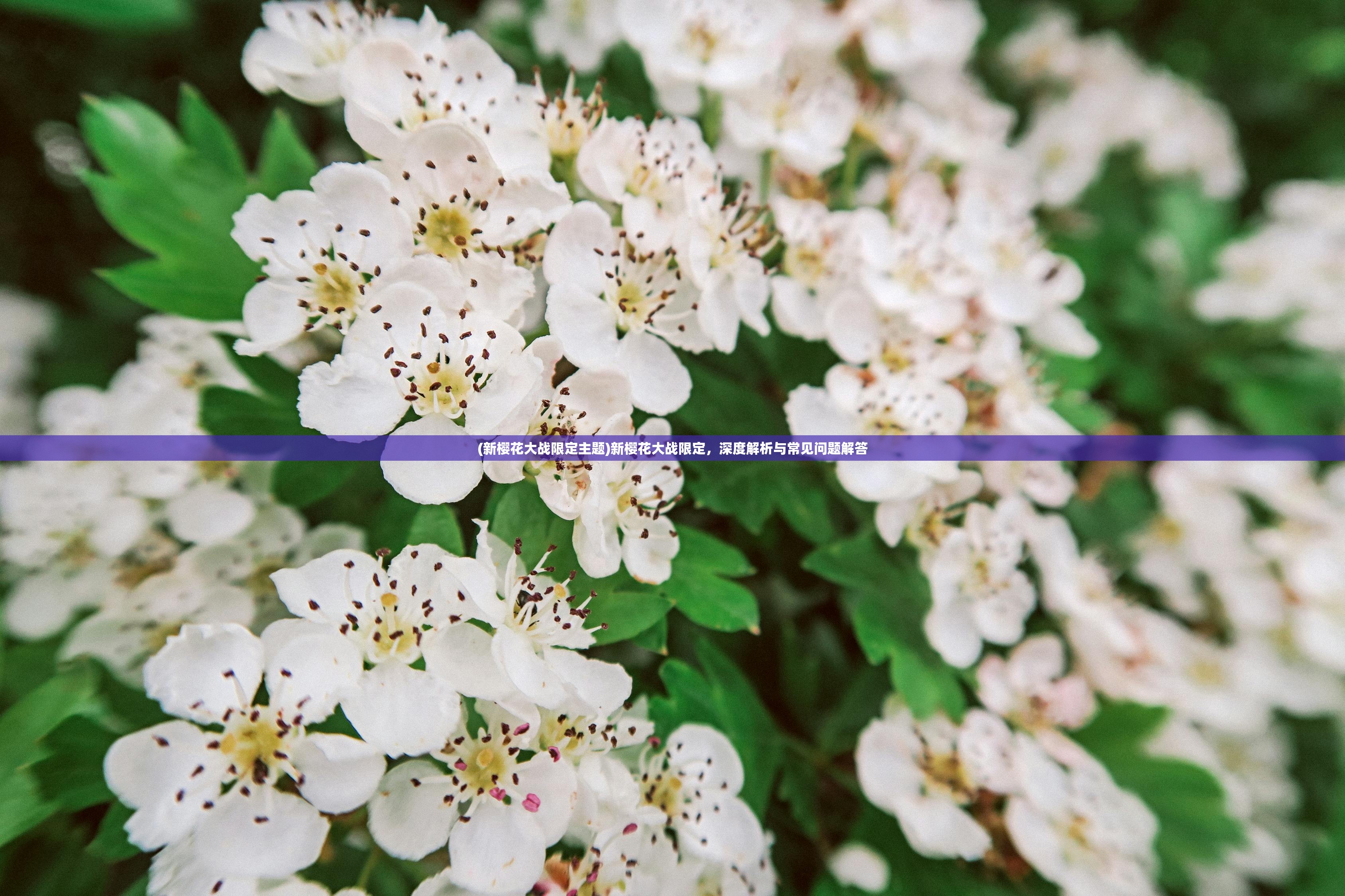 (王林战天道使者)王林战天道,天道之路上的人道决战 (王林战天道使者)王林战天道,天道之路上的人道决战