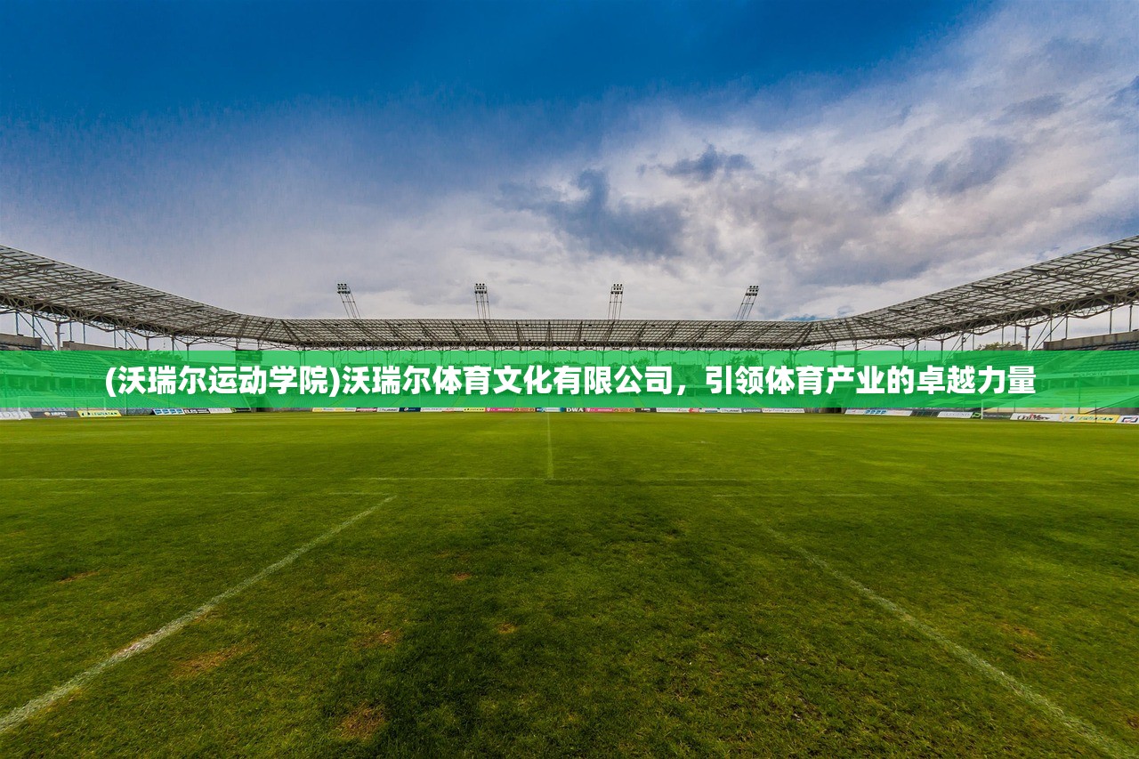 (龙之影关服)龙之影下架原因深度解析