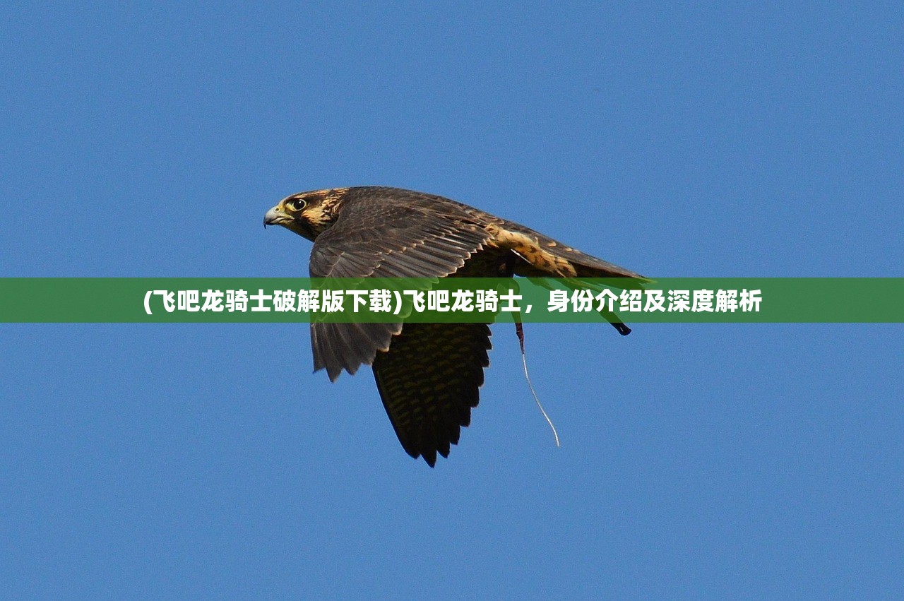 (重返现场攻略小说)重返现场攻略，全面指南与常见问题解答