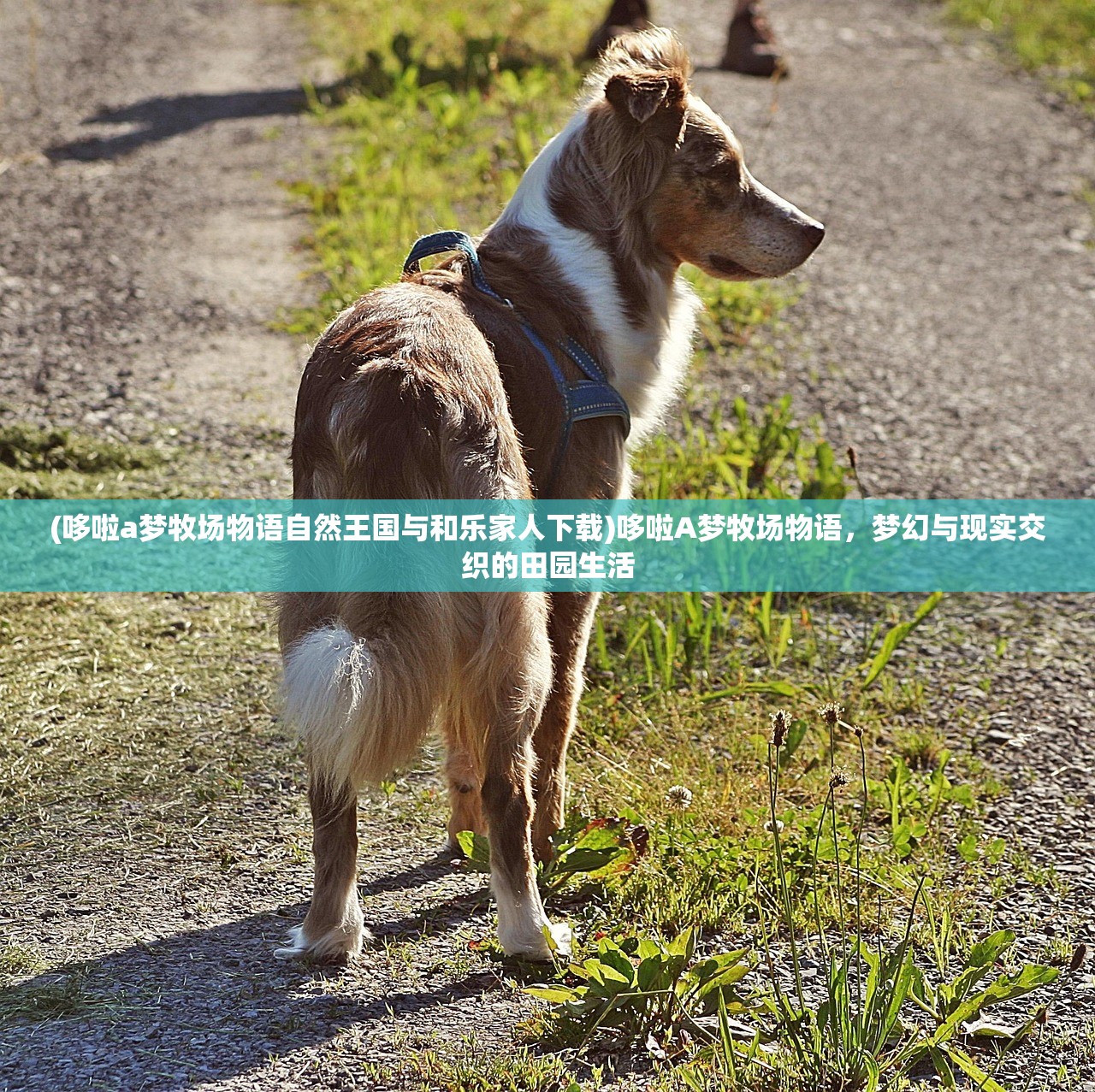 (电脑排风扇一直响是什么原因)电脑排风扇一直响566，原因解析与解决方案