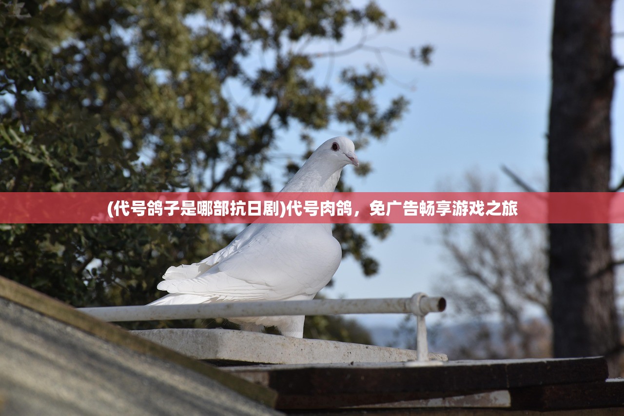 (南航18个基地都有哪些)南航18个基地，深度解析与发展展望