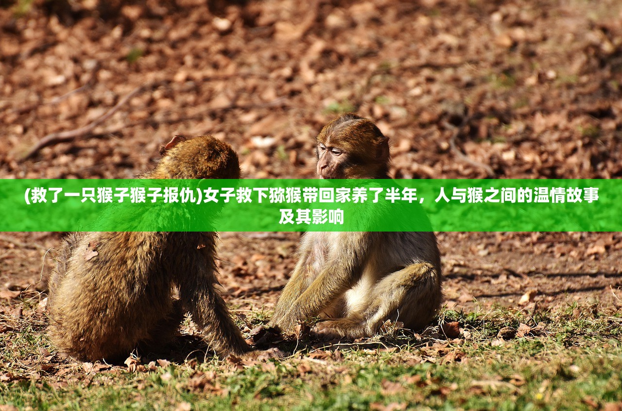 (战至巅峰第三季决赛在哪里看)战至巅峰第三季决赛地点揭晓，热血之战，巅峰对决在哪里上演？