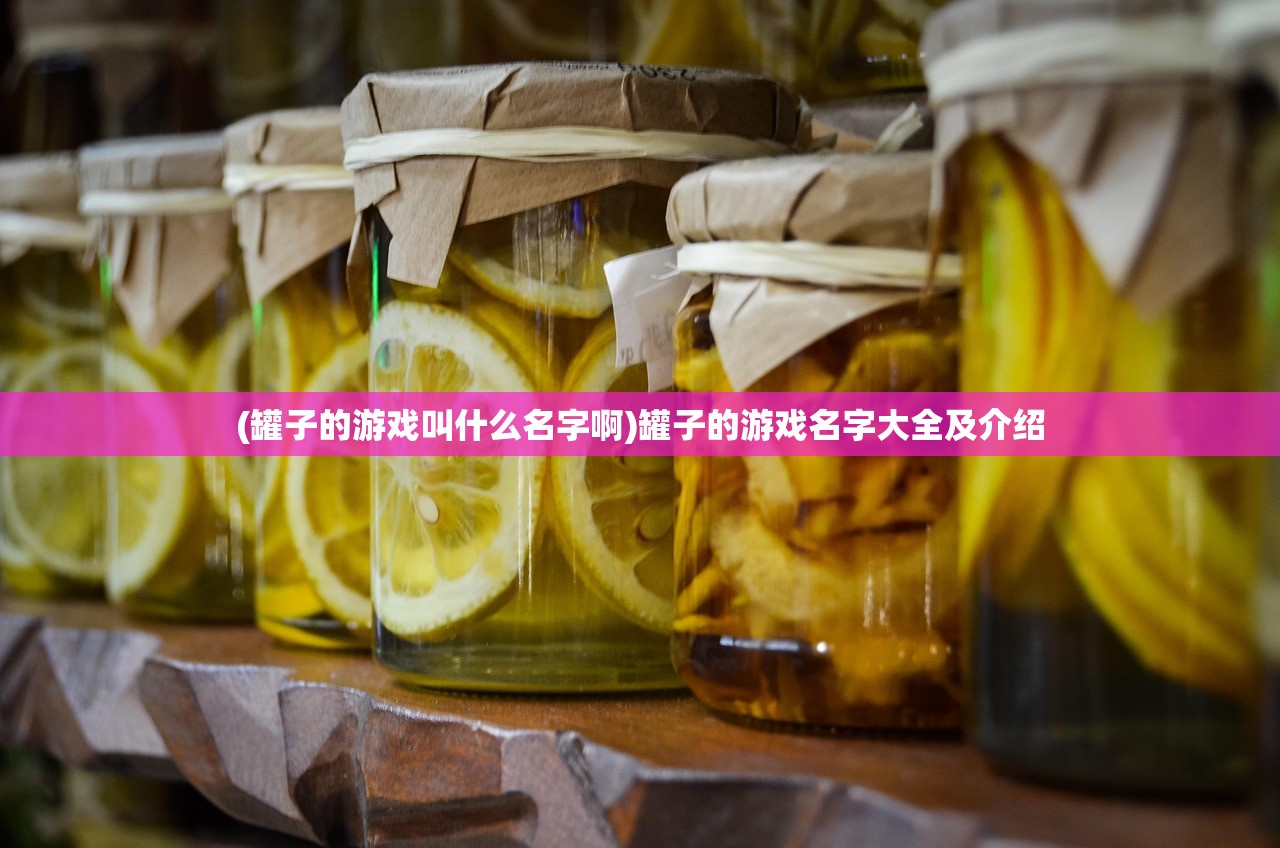 (罐子的游戏叫什么名字啊)罐子的游戏名字大全及介绍