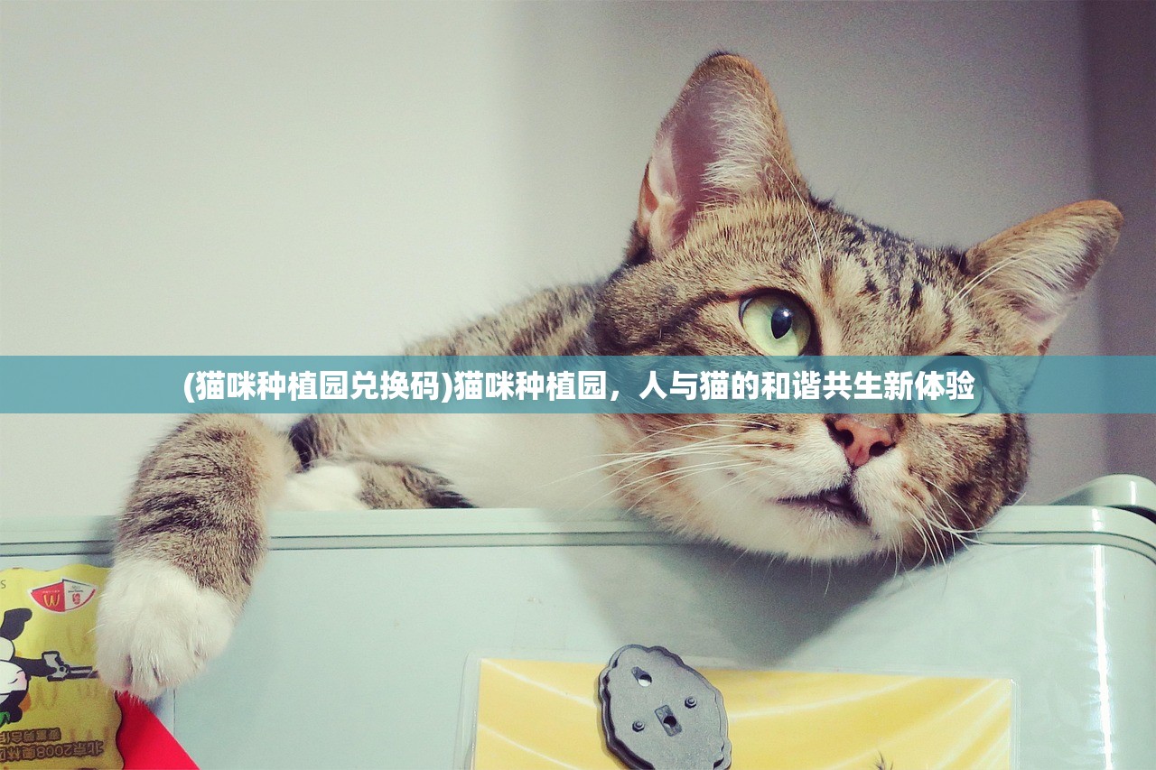 (猫咪种植园兑换码)猫咪种植园,人与猫的和谐共生新体验 (猫咪种植园兑换码)猫咪种植园,人与猫的和谐共生新体验