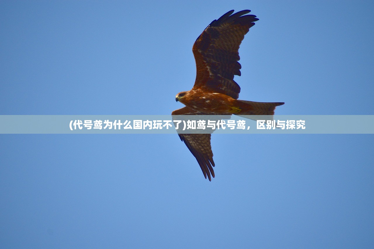 (神界乱斗红包版下载)神界乱斗红包版，全新游戏模式与体验探索