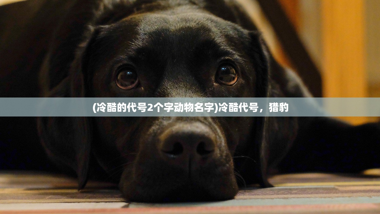 (神魔都市最新章节)神魔都市游戏1.8安卓版，深度体验与全方位解读