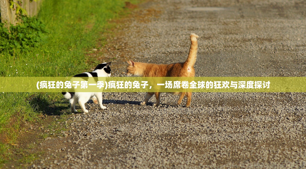 (黑龙是什么意思梗百科)大黑龙的意思及其相关探讨