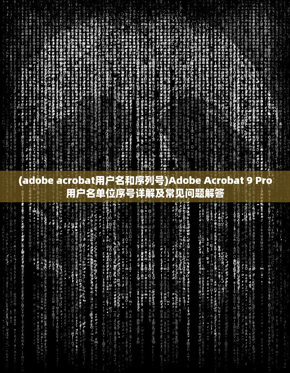 (侠义英雄夏琴的扮演者)侠义英雄夏琴，传奇之旅与无畏精神