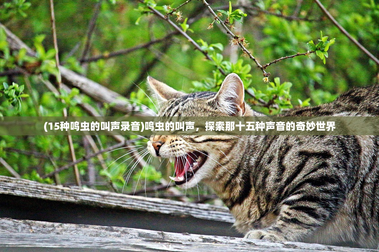 (白蛇传·情 选段春晚2025)白蛇传·情,传统与现代的交融 (白蛇传·情 选段春晚2025)白蛇传·情,传统与现代的交融