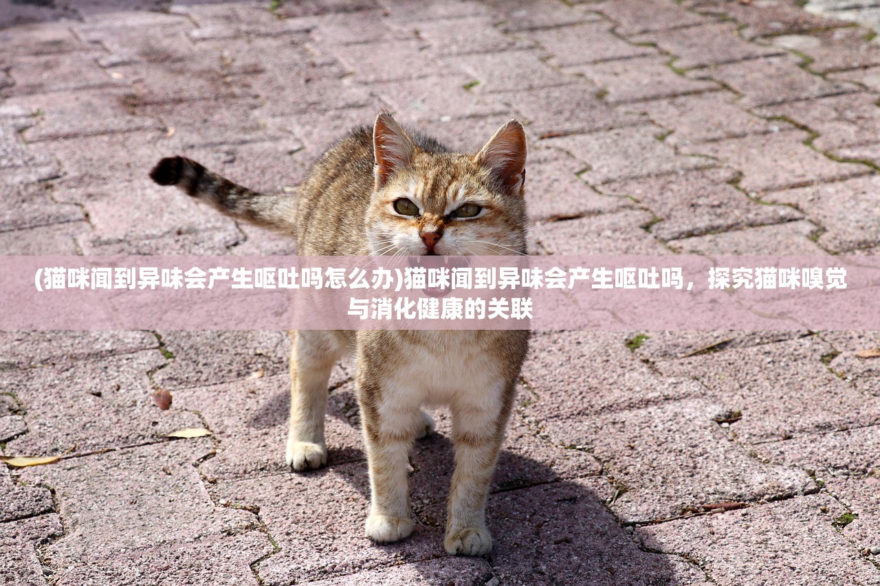 (西游仙魔传红包版激活码大全)西游仙魔传红包版激活码，游戏攻略与常见问题解答