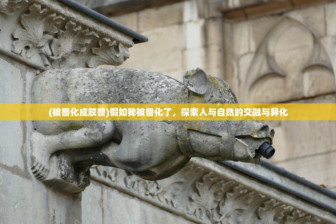 (魔法学院激活码)魔能学院激活码，获取与使用的全面指南